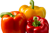 Fresh Vegetables