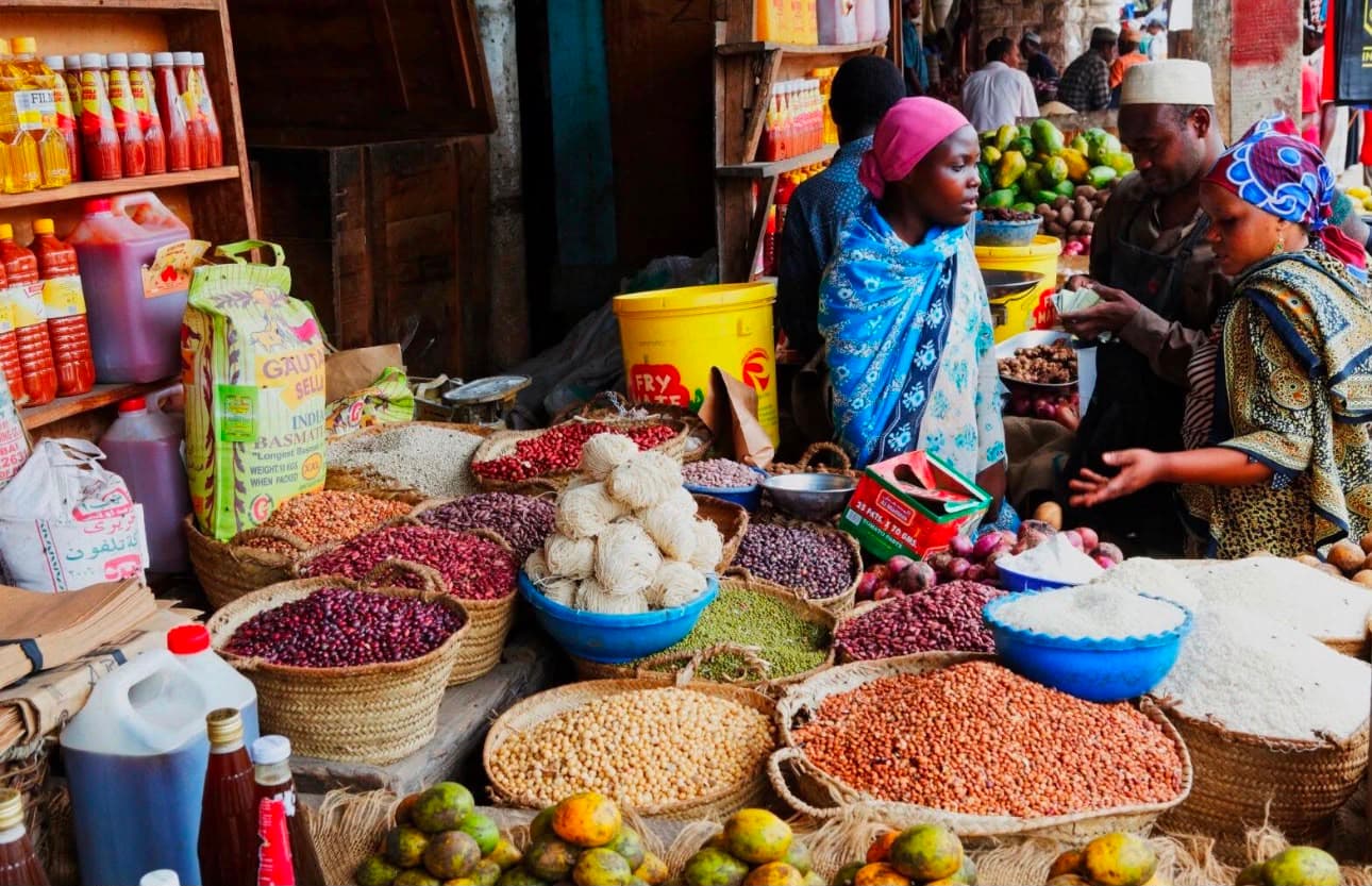 Healthy African Food Background